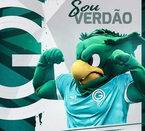 Goiás x Palmeiras – Sábado 16/04/2022 – 16h30- Orientações  Sócios-Torcedores - Goiás Esporte Clube