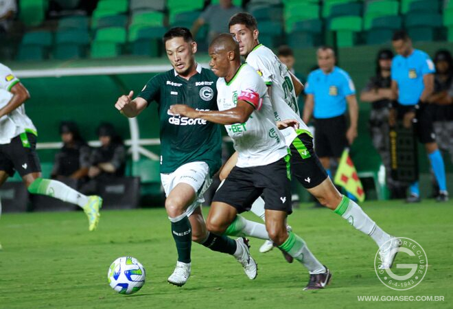 Ingressos para Goiás x Palmeiras – Sábado 16/04, às 16h30 - Goiás Esporte  Clube